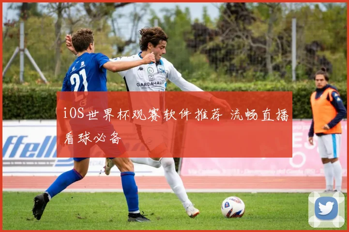 iOS世界杯观赛软件推荐 流畅直播看球必备