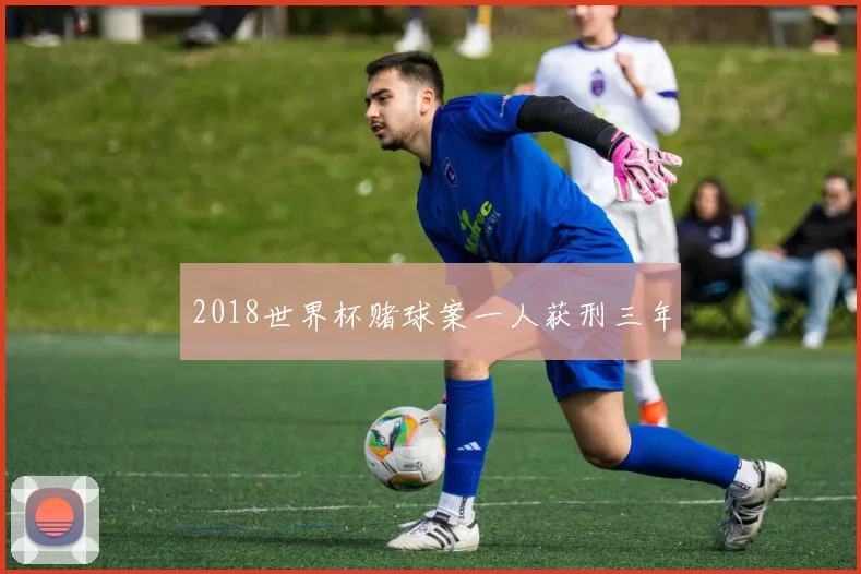 2018世界杯赌球案一人获刑三年