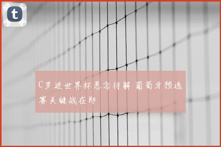 C罗进世界杯悬念待解 葡萄牙预选赛关键战在即