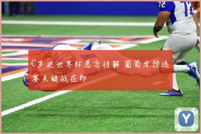 C罗进世界杯悬念待解 葡萄牙预选赛关键战在即