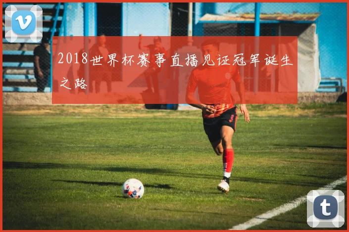 2018世界杯赛事直播见证冠军诞生之路
