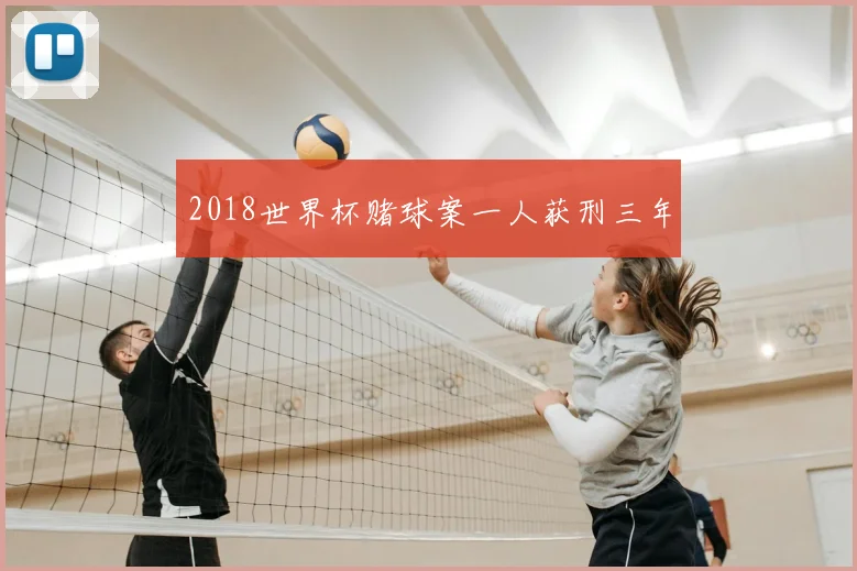 2018世界杯赌球案一人获刑三年