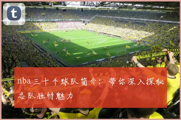 nba三十个球队简介:带你深入探秘各队独特魅力