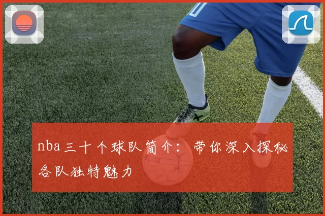 nba三十个球队简介:带你深入探秘各队独特魅力